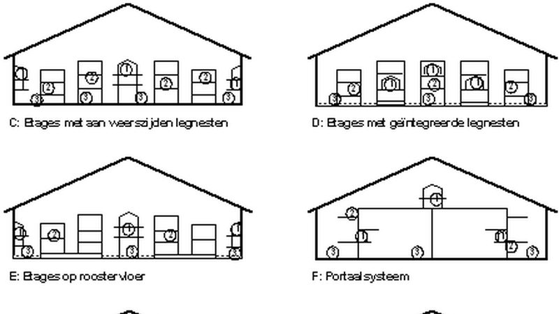跨境电商独立站搭建公司